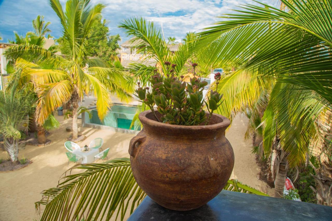 Pure Baja Private Suites-Upscale Property With Infinity Pool And Lush Gardens El Pescadero  المظهر الخارجي الصورة