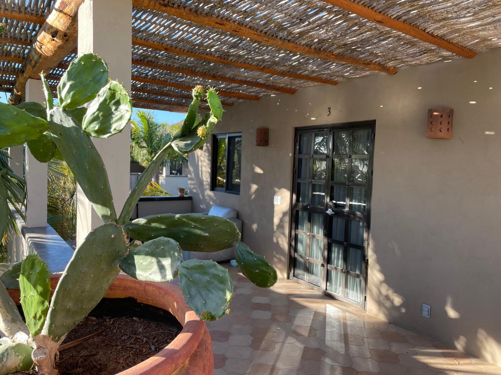 Pure Baja Private Suites-Upscale Property With Infinity Pool And Lush Gardens El Pescadero  المظهر الخارجي الصورة
